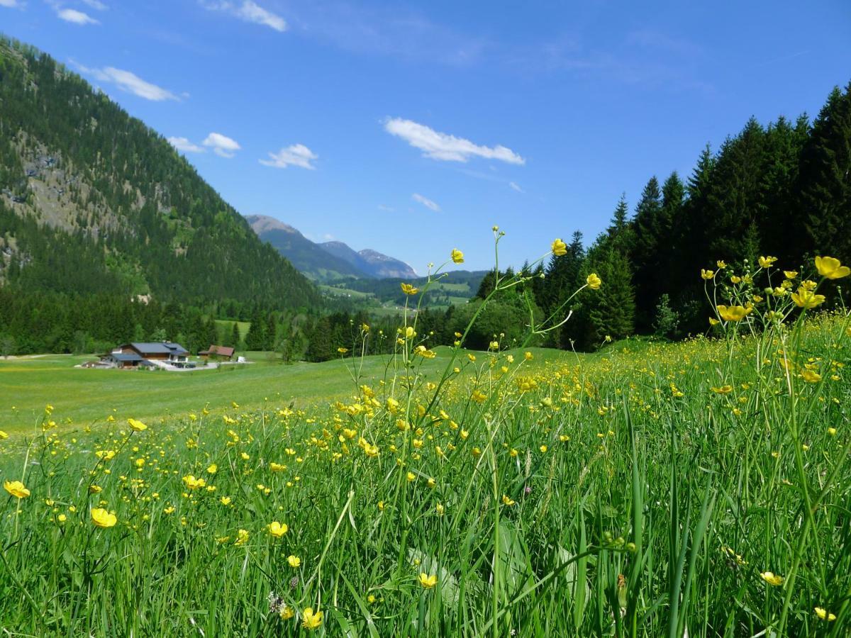 Appartement Alpenhaus Dachstein.Zauber à Abtenau Extérieur photo