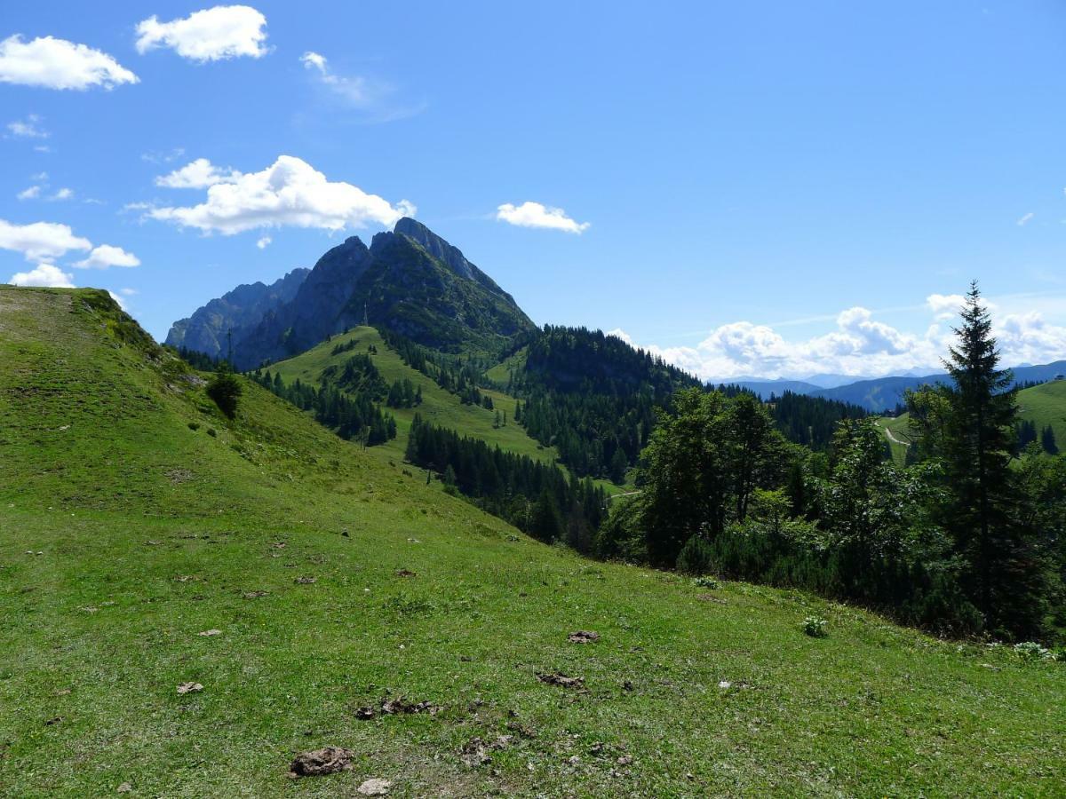 Appartement Alpenhaus Dachstein.Zauber à Abtenau Extérieur photo