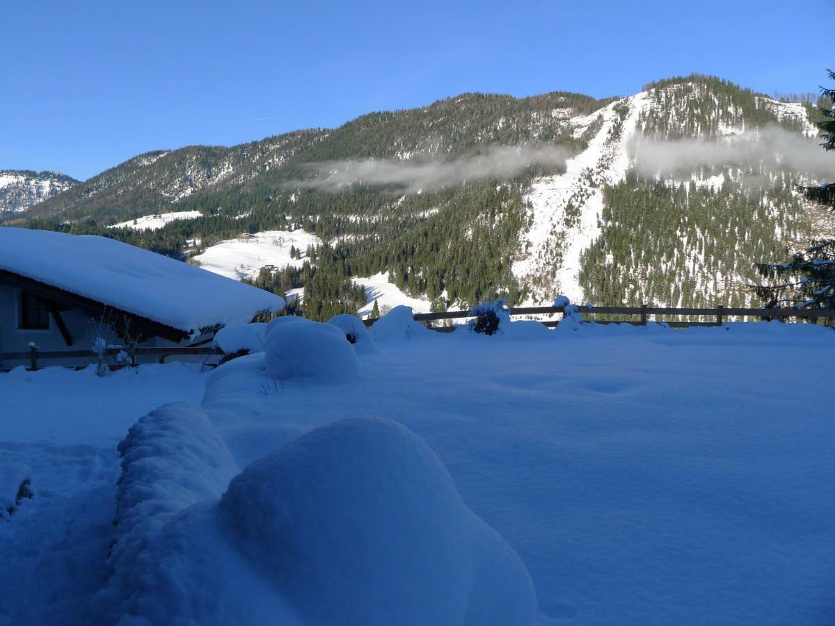 Appartement Alpenhaus Dachstein.Zauber à Abtenau Extérieur photo